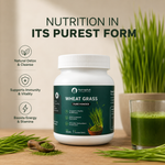 Wheat Grass Powder - 100gm
