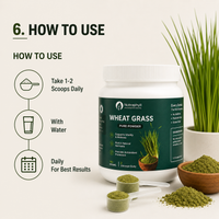 Wheat Grass Powder - 100gm