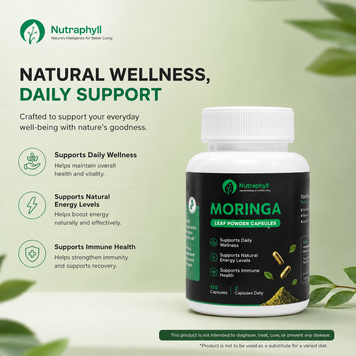 Moringa Leaf Powder - 120 Capsule
