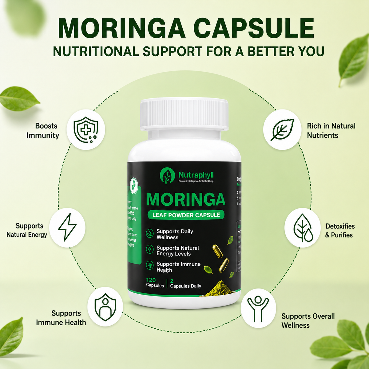 Moringa Leaf Powder - 120 Capsule