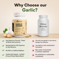 Garlic Powder - 120 Capsule