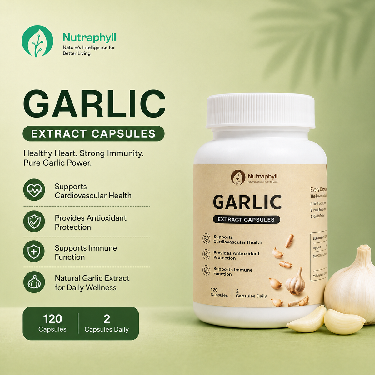 Garlic Powder - 120 Capsule