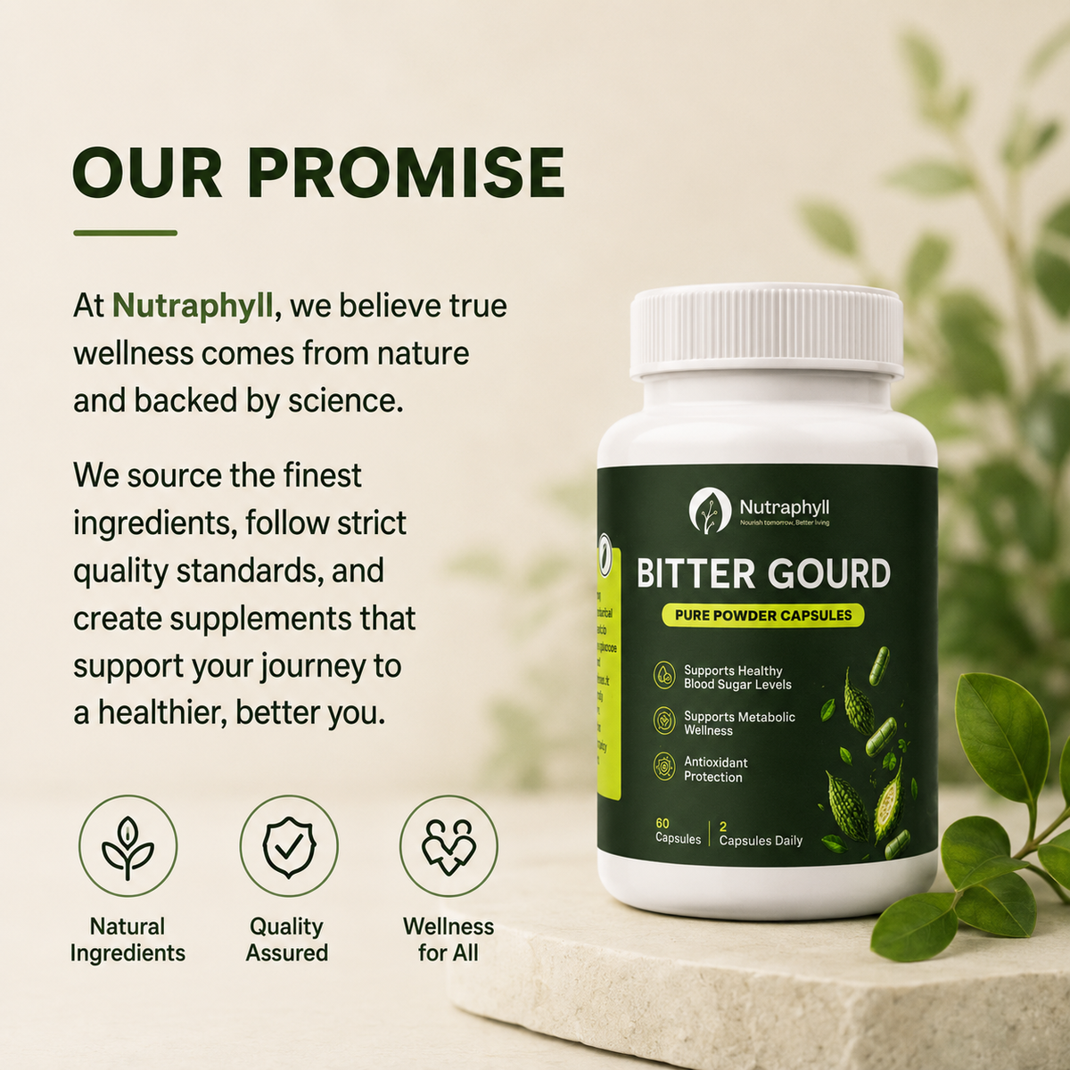 Bitter Gourd capsule - 60 Capsule